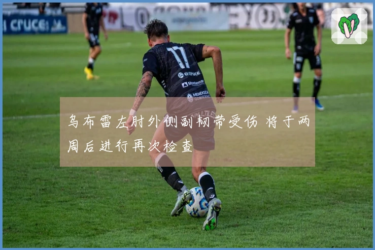 乌布雷左肘外侧副韧带受伤 将于两周后进行再次检查